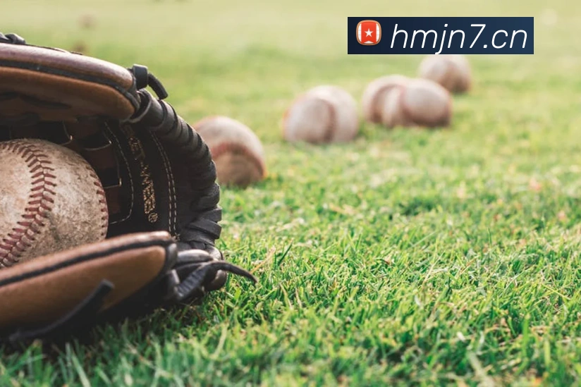 世界杯赛事动态阿根廷队关键球员伤情更新影响半决赛备战